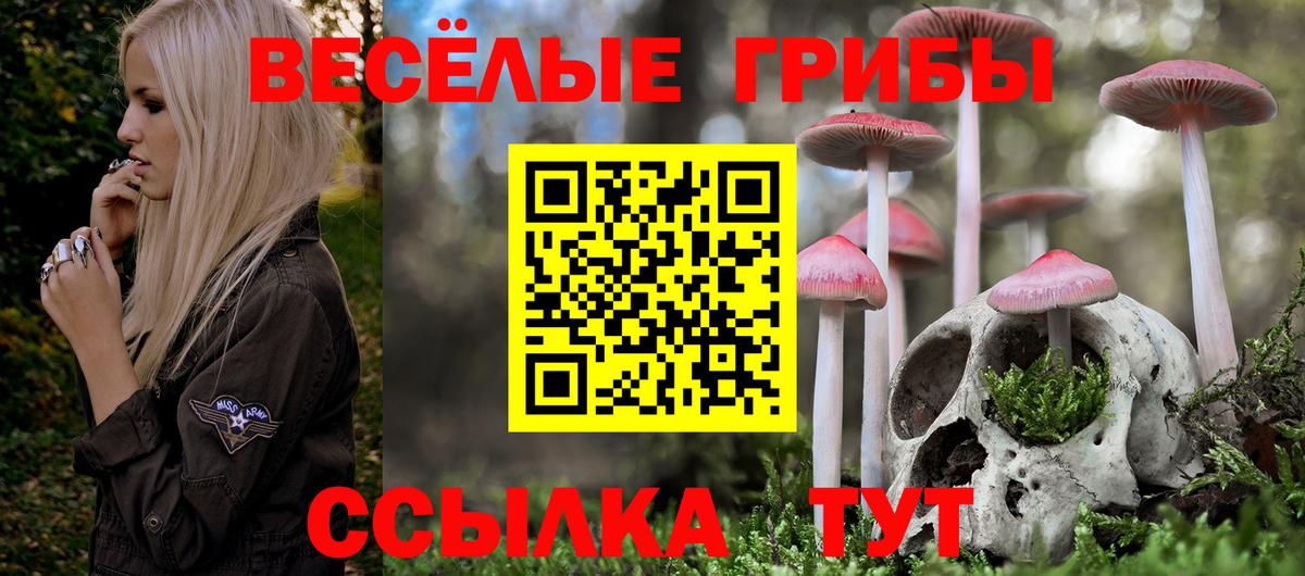Галлюциногенные грибы Cubensis Гулькевичи