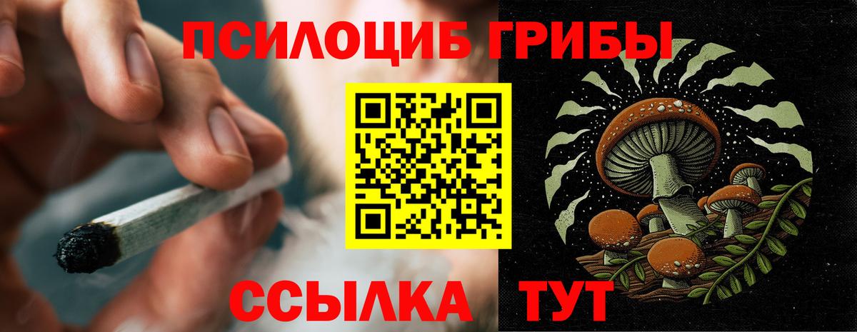 Гулькевичи  где продают   Вход с VPN  Псилоцибиновые грибы Psilocybe 